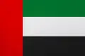AED flag